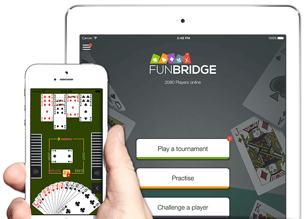 bridge for beginners free download
